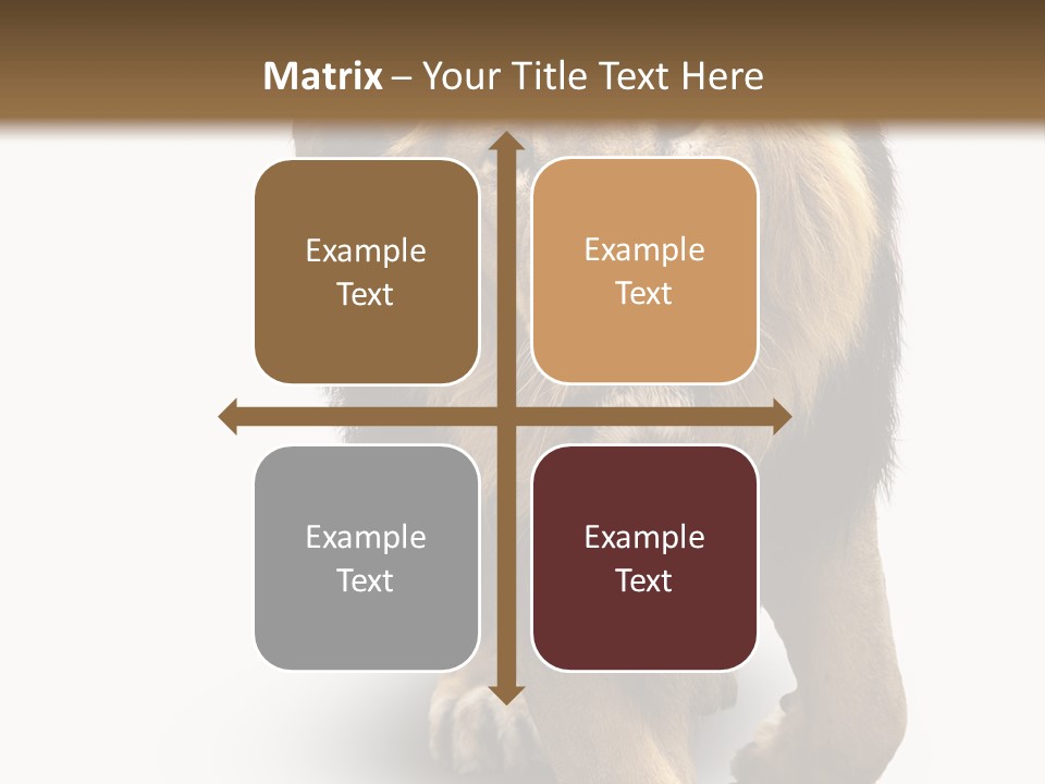 Lion White Background PowerPoint Template