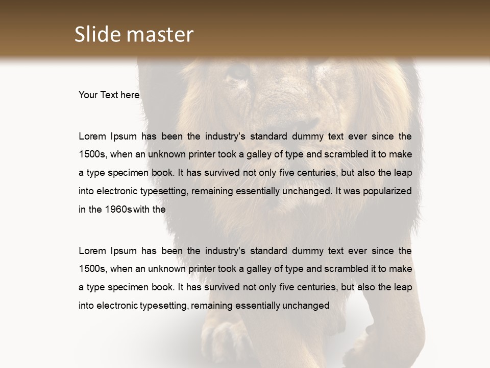 Lion White Background PowerPoint Template