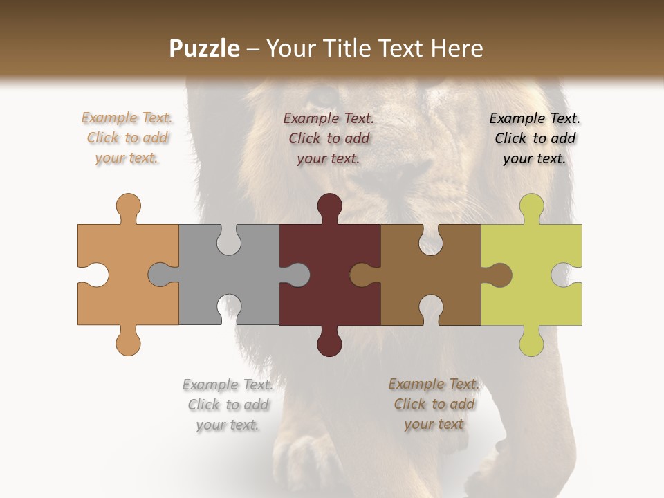 Lion White Background PowerPoint Template