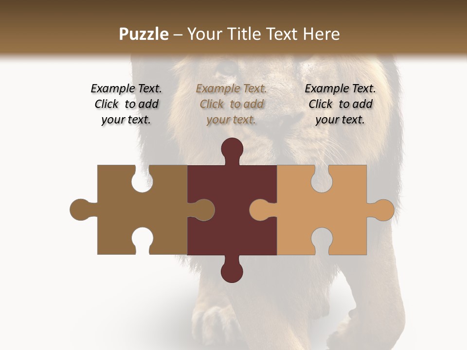 Lion White Background PowerPoint Template