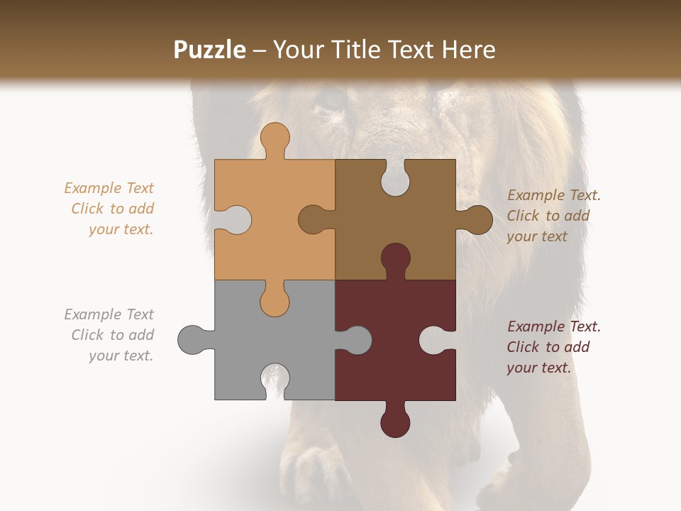 Lion White Background PowerPoint Template