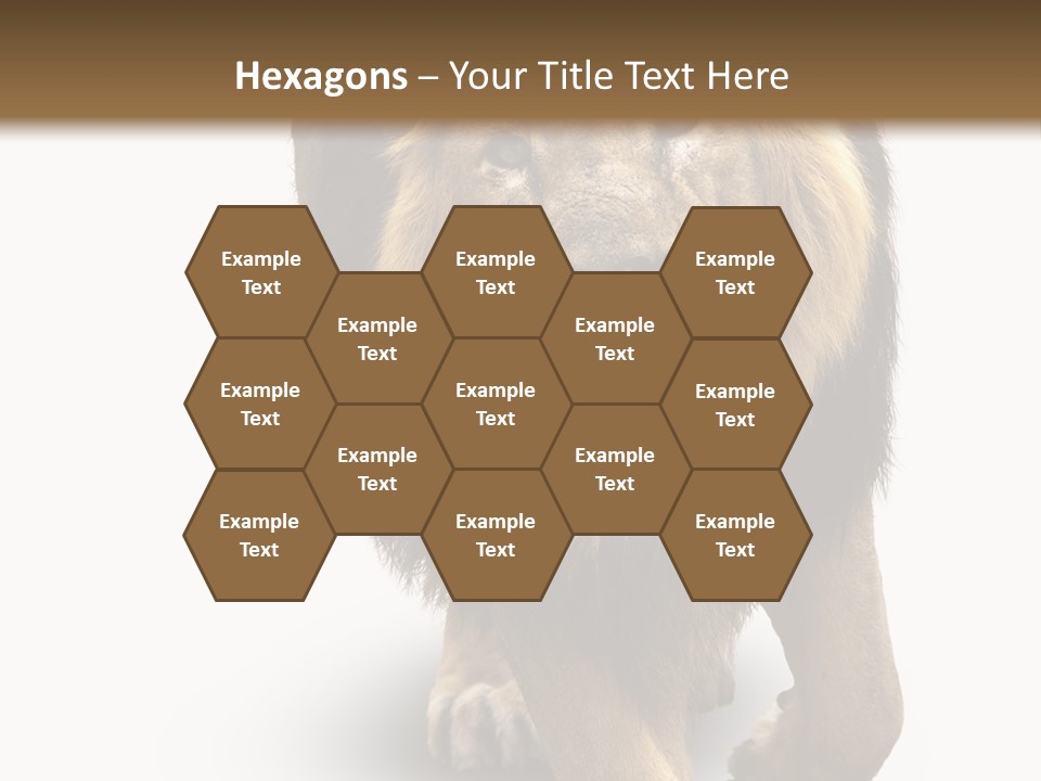 Lion White Background PowerPoint Template