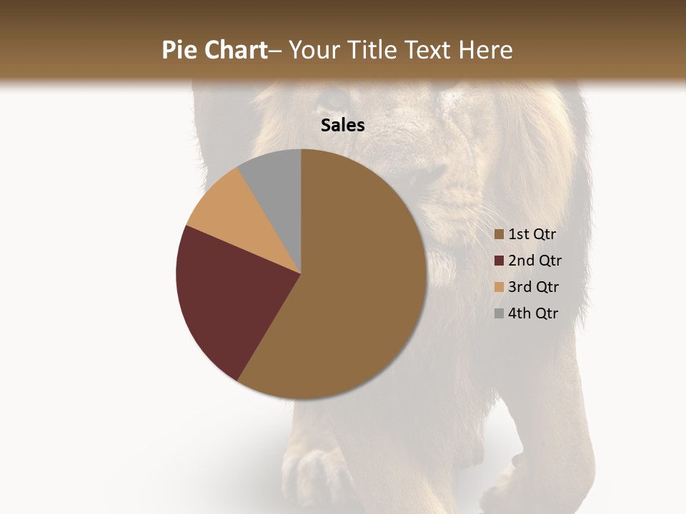 Lion White Background PowerPoint Template