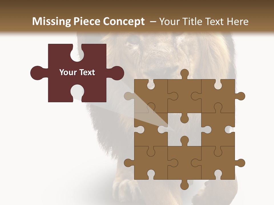 Lion White Background PowerPoint Template