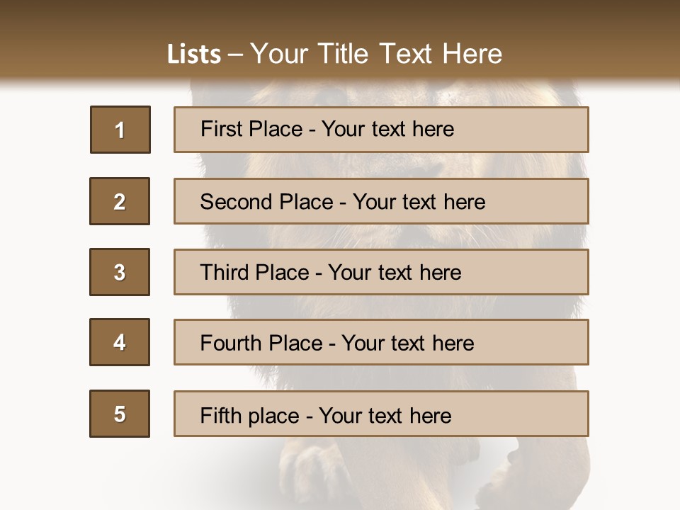 Lion White Background PowerPoint Template