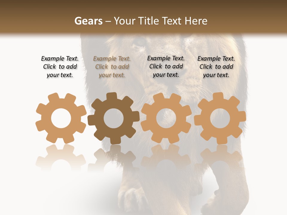 Lion White Background PowerPoint Template