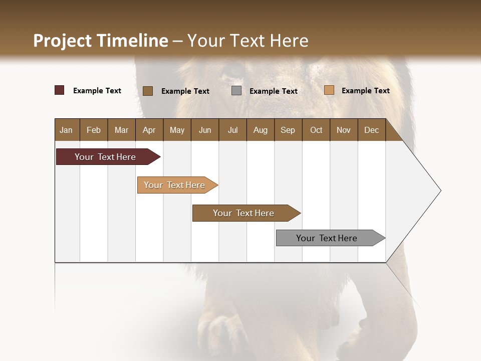 Lion White Background PowerPoint Template