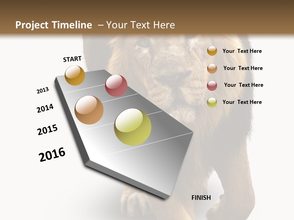 Lion White Background PowerPoint Template