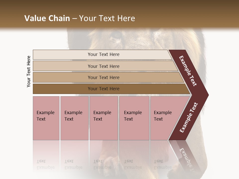 Lion White Background PowerPoint Template