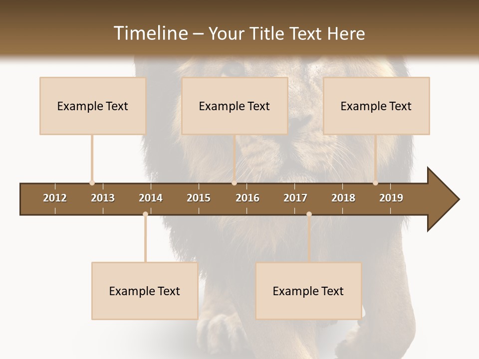 Lion White Background PowerPoint Template