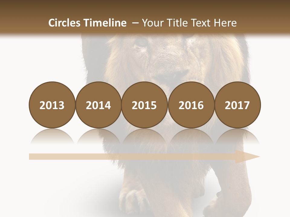 Lion White Background PowerPoint Template