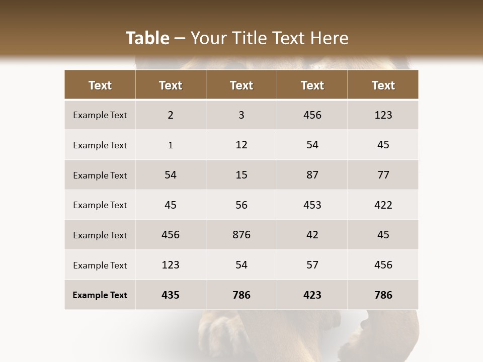 Lion White Background PowerPoint Template