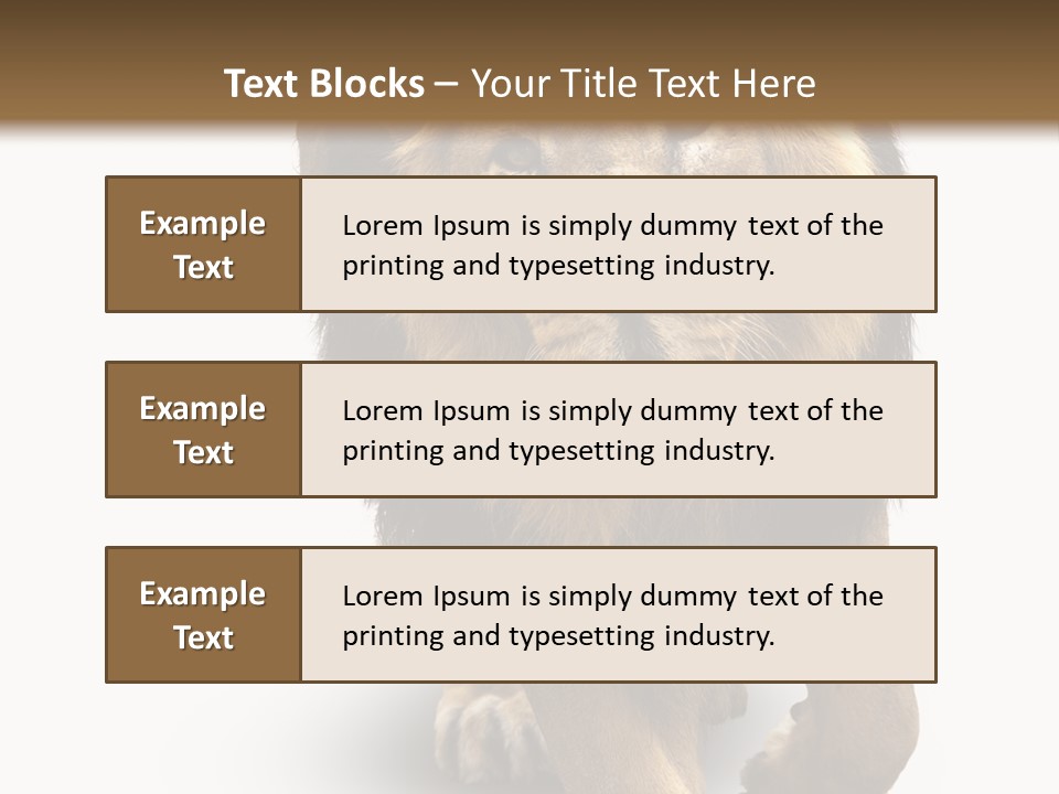 Lion White Background PowerPoint Template