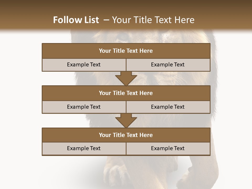 Lion White Background PowerPoint Template