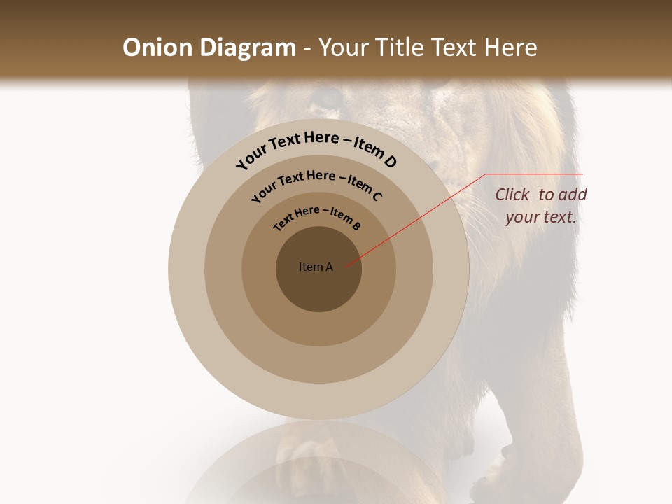 Lion White Background PowerPoint Template