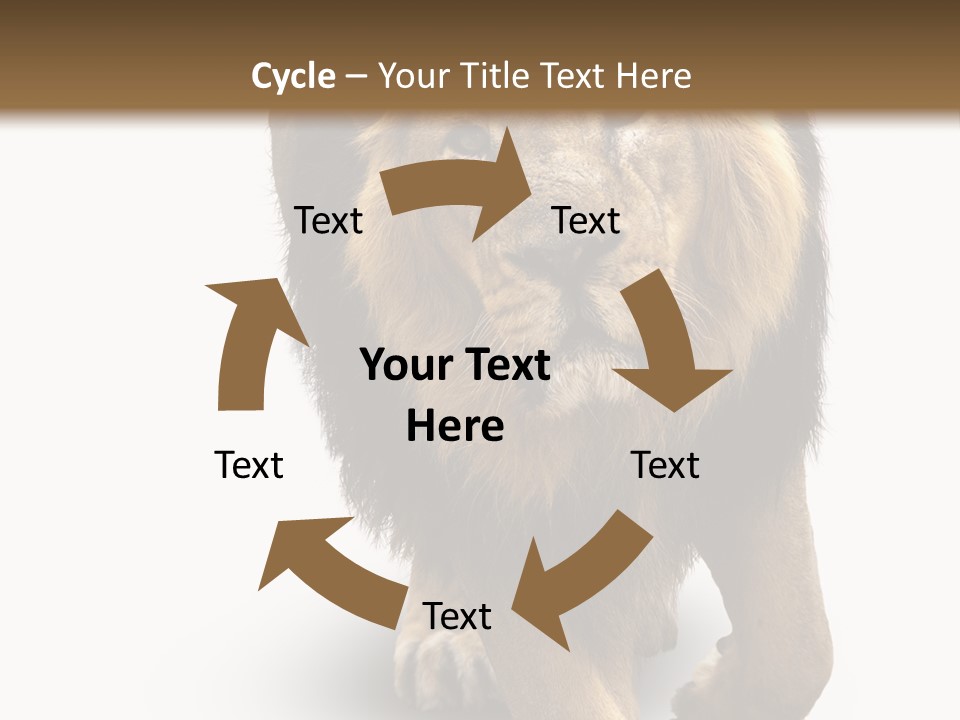 Lion White Background PowerPoint Template