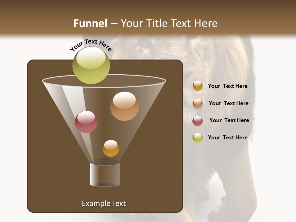 Lion White Background PowerPoint Template