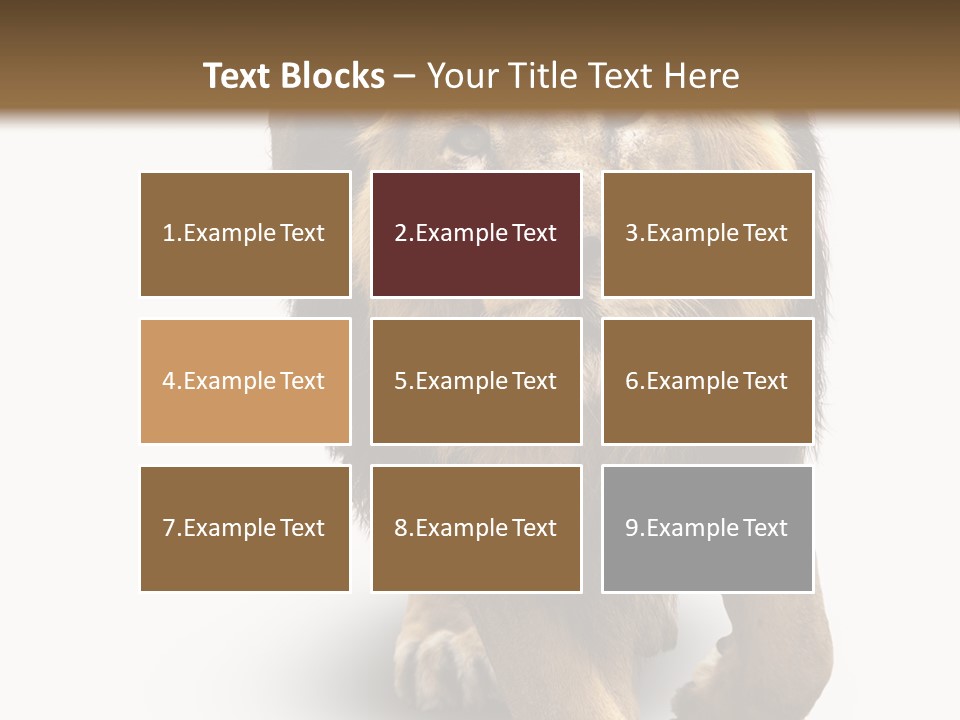 Lion White Background PowerPoint Template