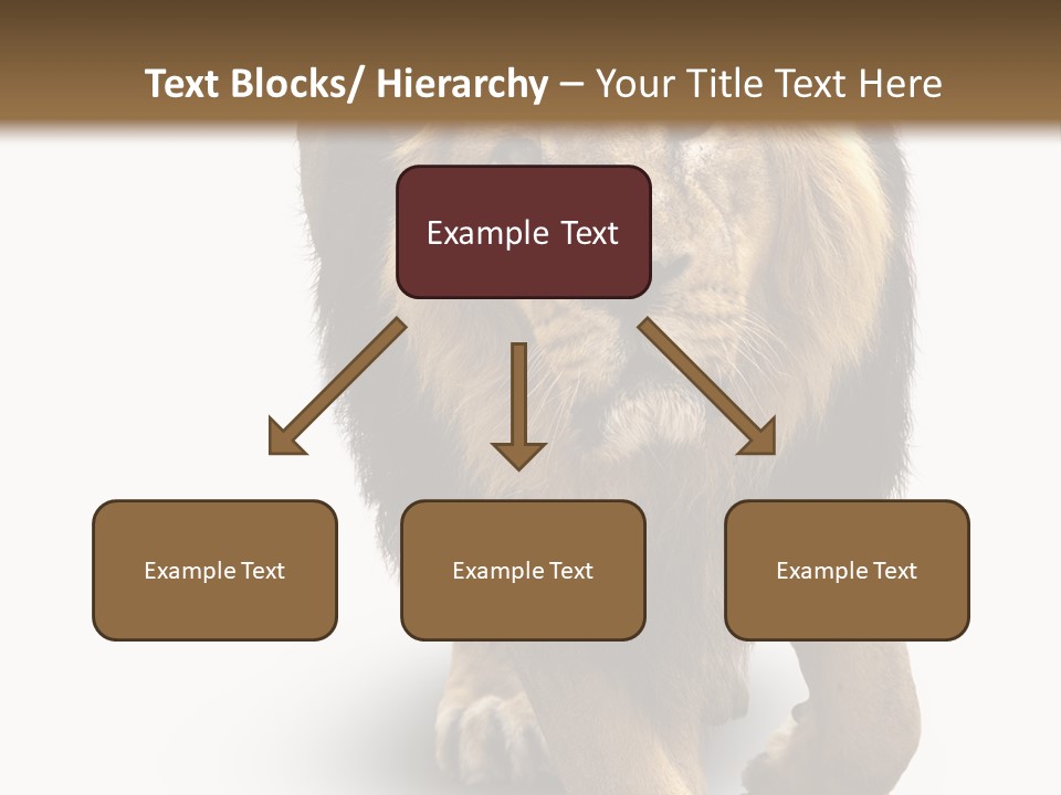 Lion White Background PowerPoint Template