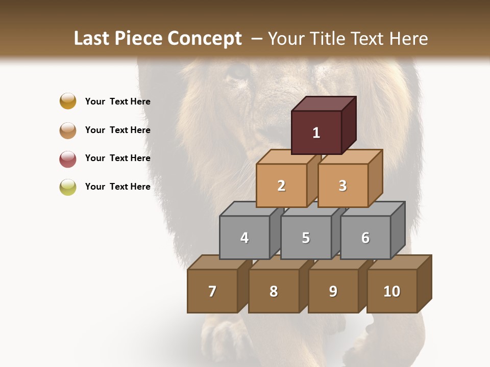 Lion White Background PowerPoint Template