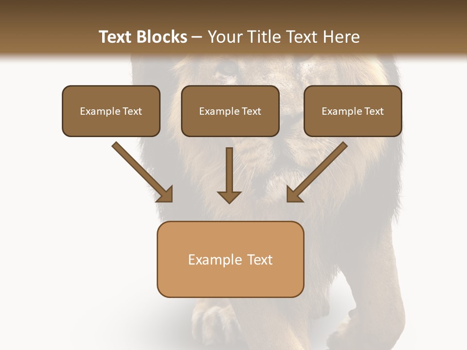 Lion White Background PowerPoint Template