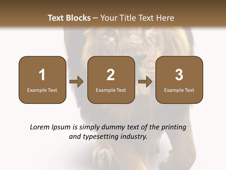 Lion White Background PowerPoint Template