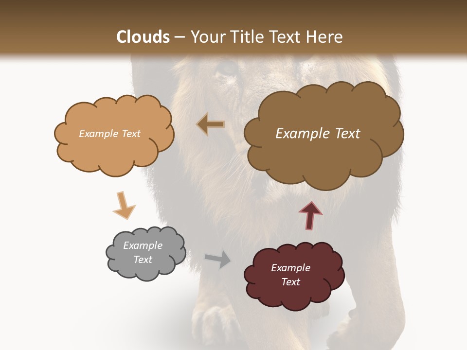 Lion White Background PowerPoint Template