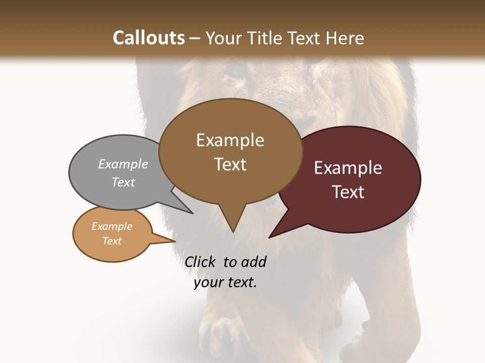 Lion White Background PowerPoint Template