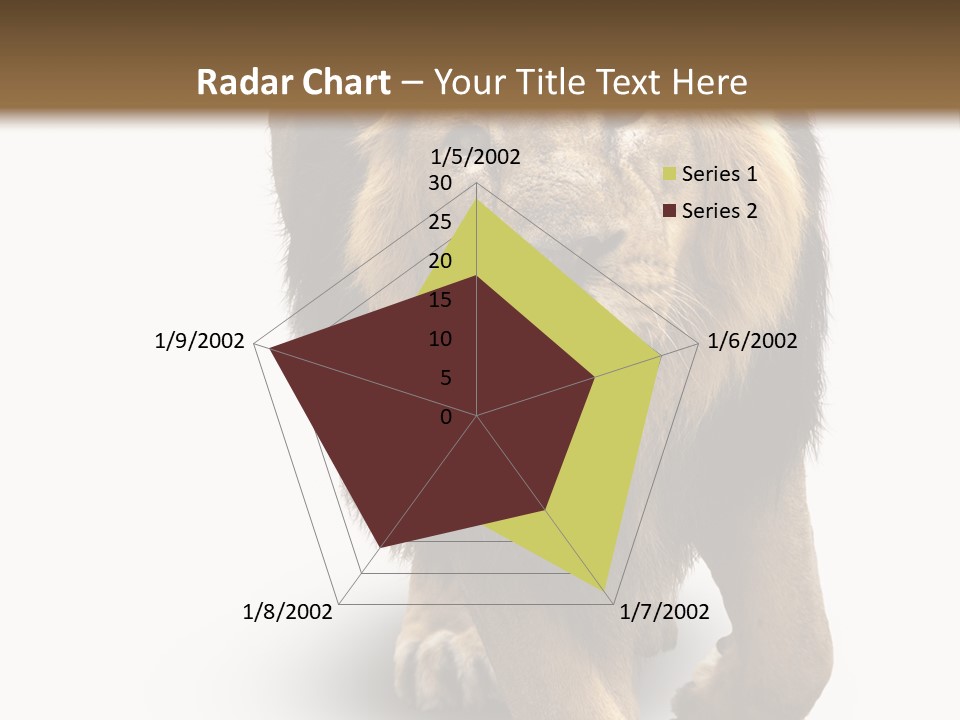 Lion White Background PowerPoint Template