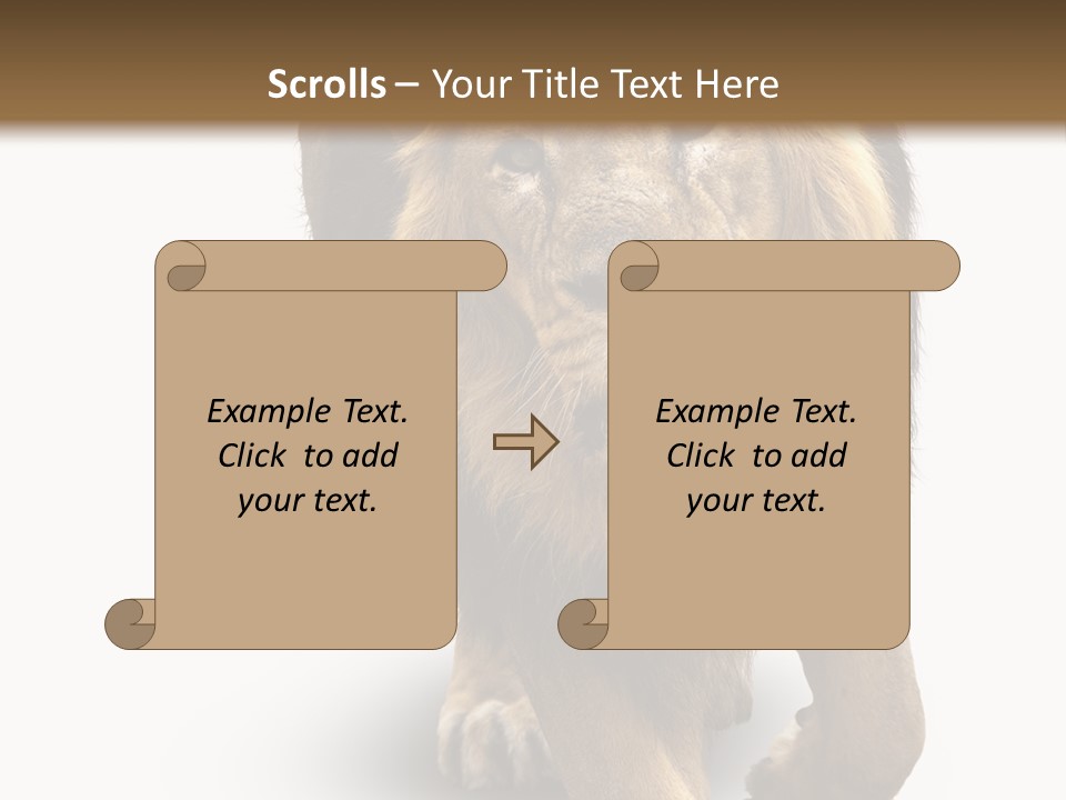 Lion White Background PowerPoint Template