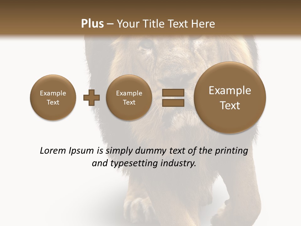 Lion White Background PowerPoint Template