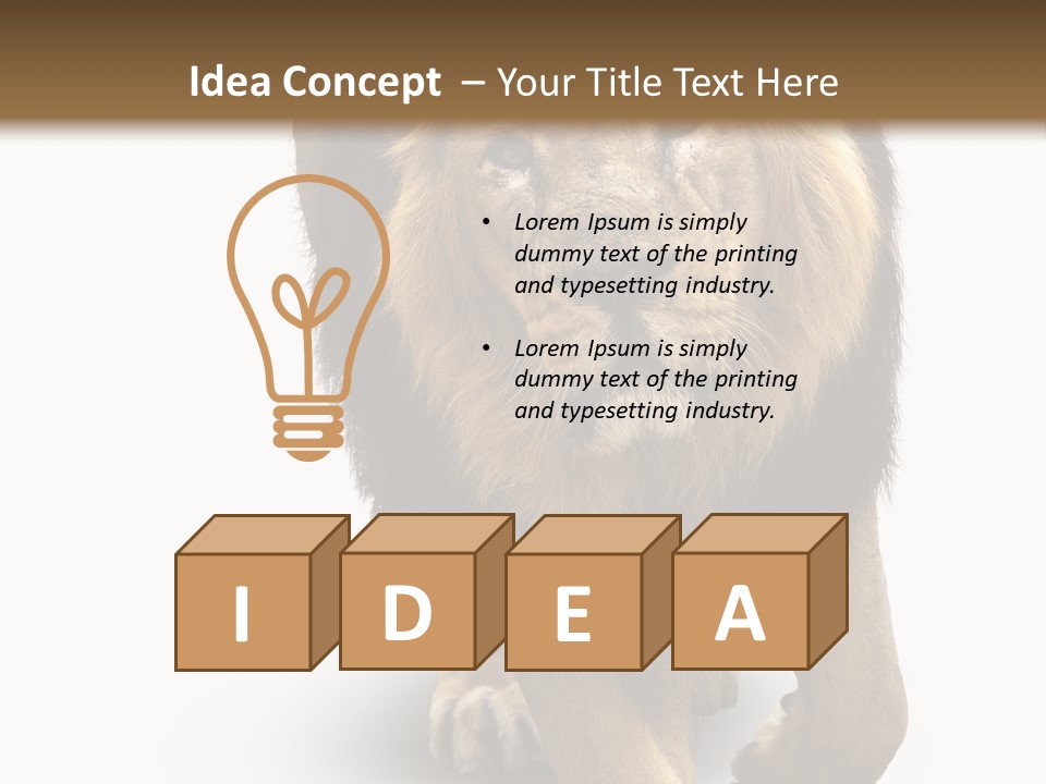 Lion White Background PowerPoint Template