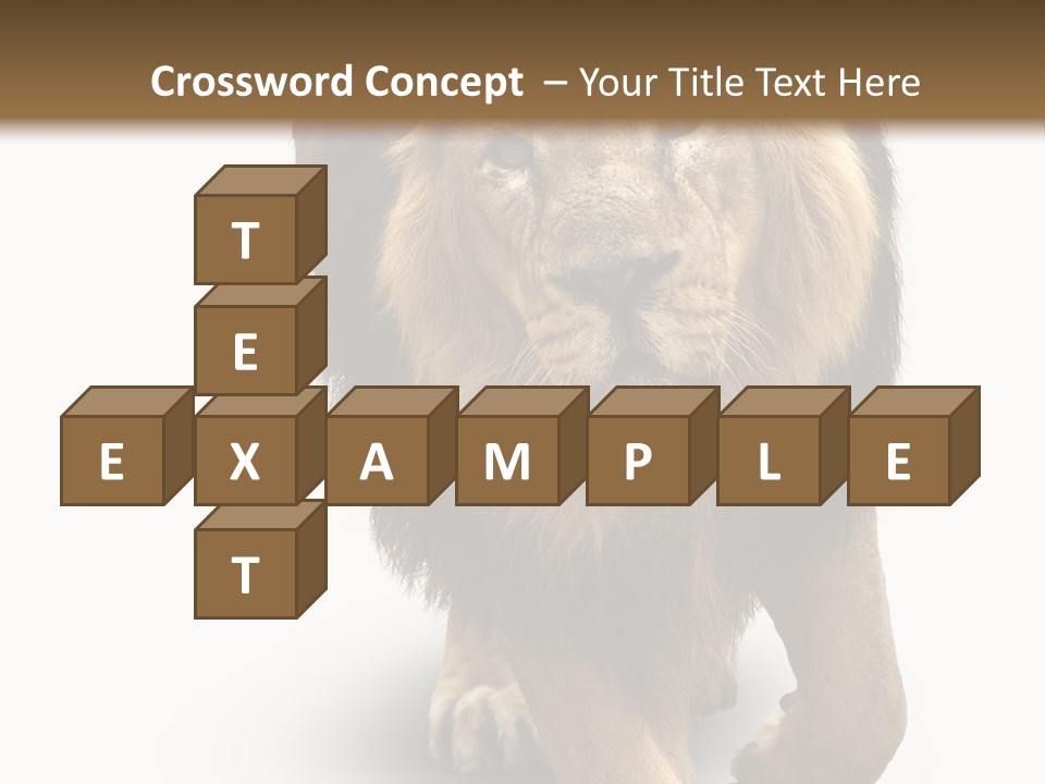 Lion White Background PowerPoint Template