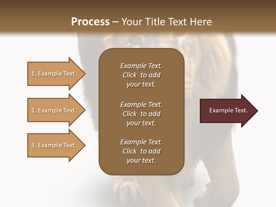 Lion White Background PowerPoint Template