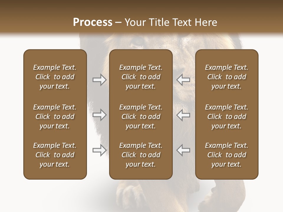 Lion White Background PowerPoint Template