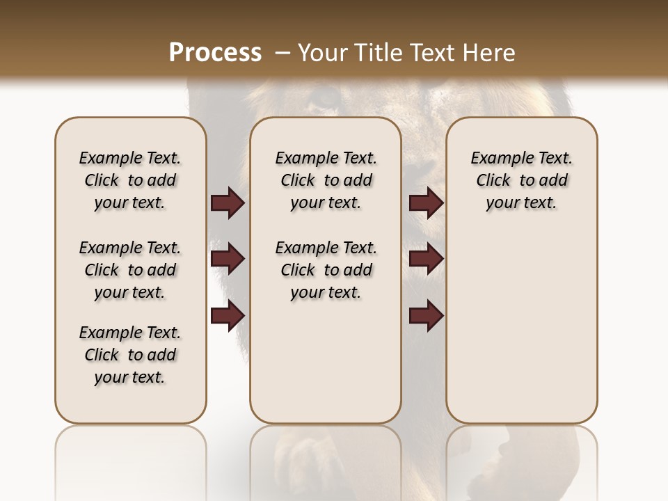 Lion White Background PowerPoint Template
