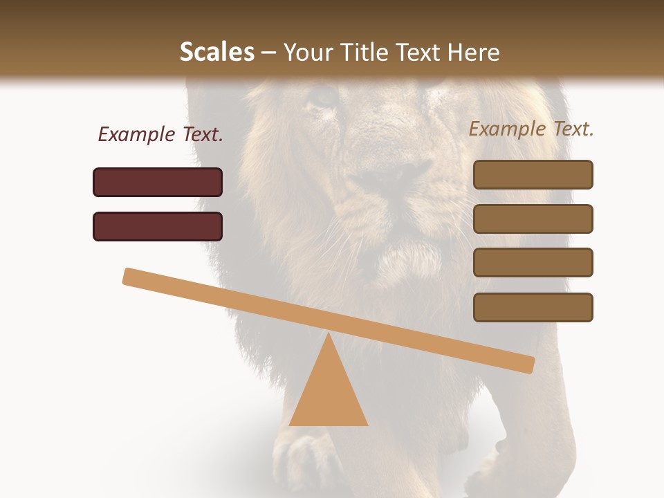 Lion White Background PowerPoint Template
