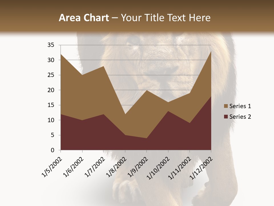 Lion White Background PowerPoint Template
