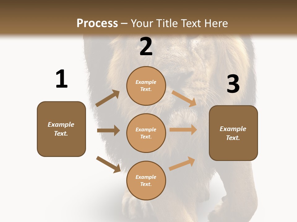 Lion White Background PowerPoint Template