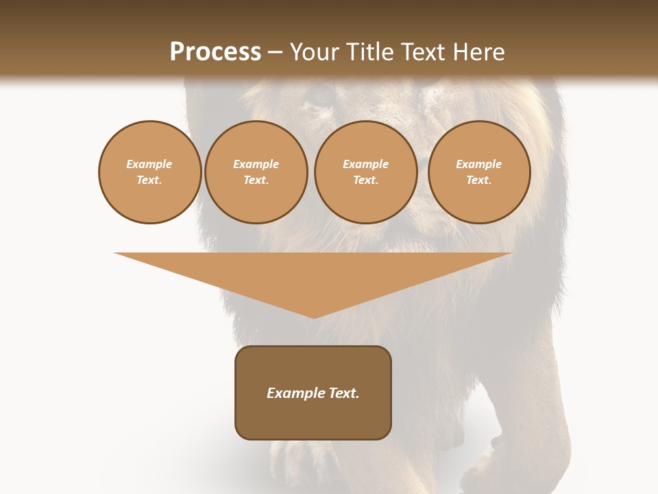 Lion White Background PowerPoint Template