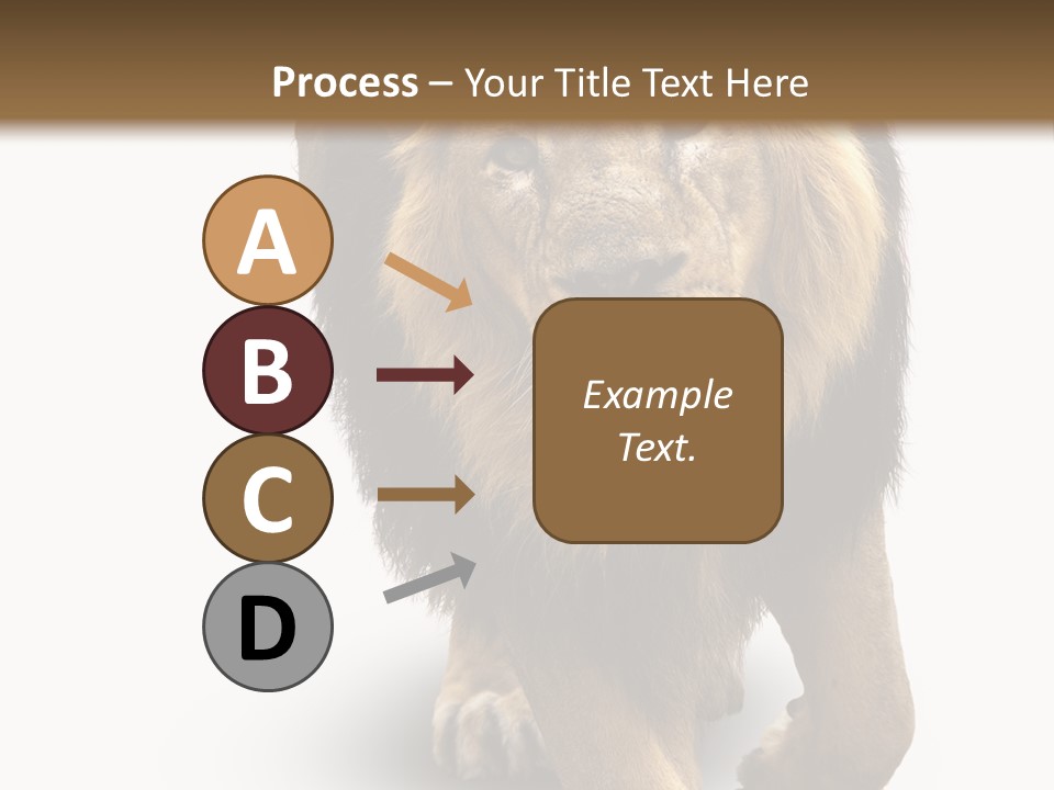 Lion White Background PowerPoint Template