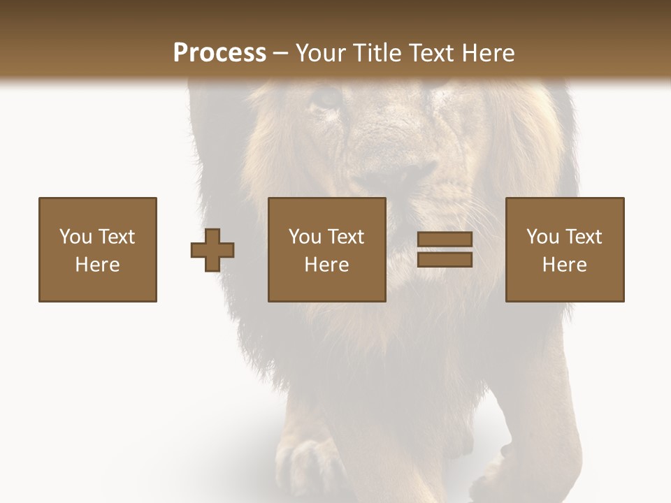 Lion White Background PowerPoint Template