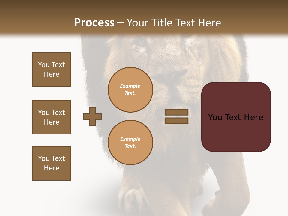 Lion White Background PowerPoint Template