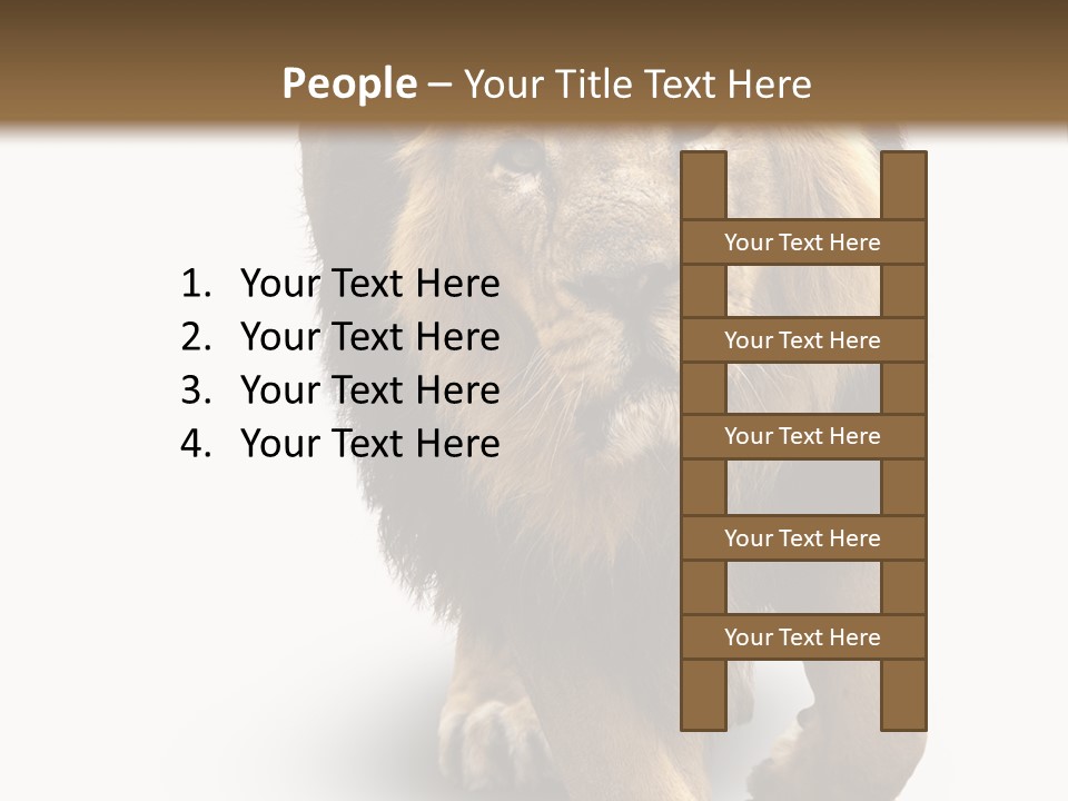 Lion White Background PowerPoint Template