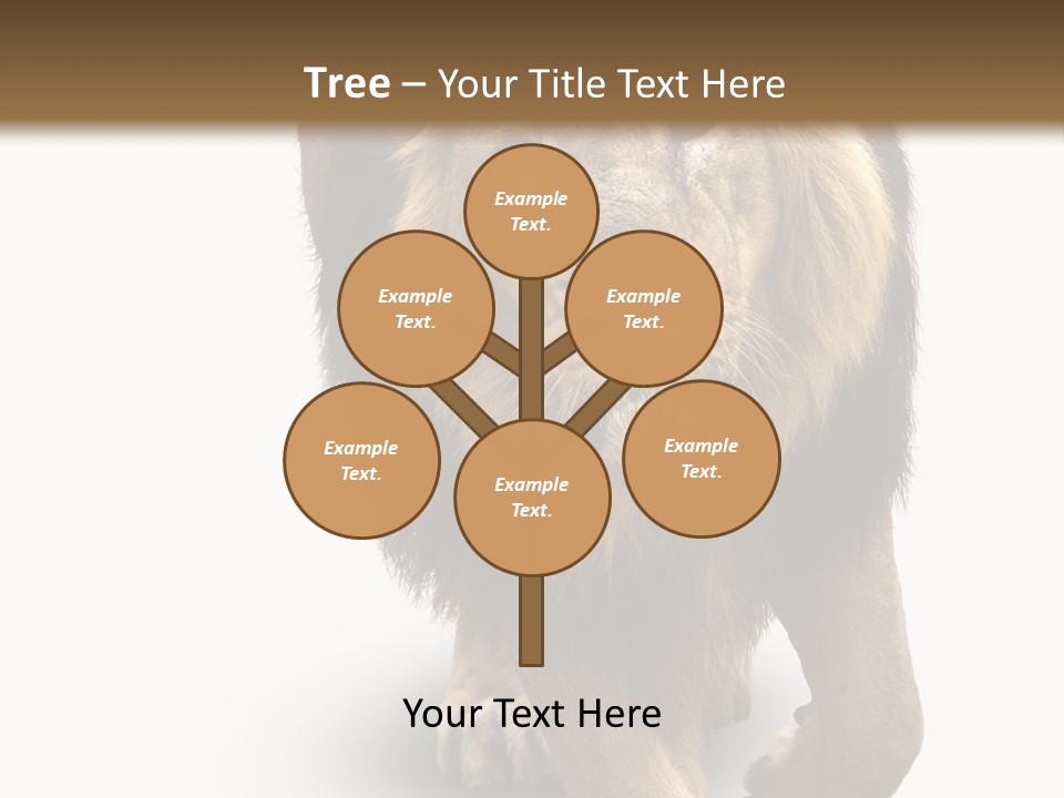 Lion White Background PowerPoint Template