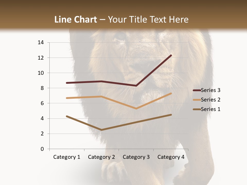 Lion White Background PowerPoint Template