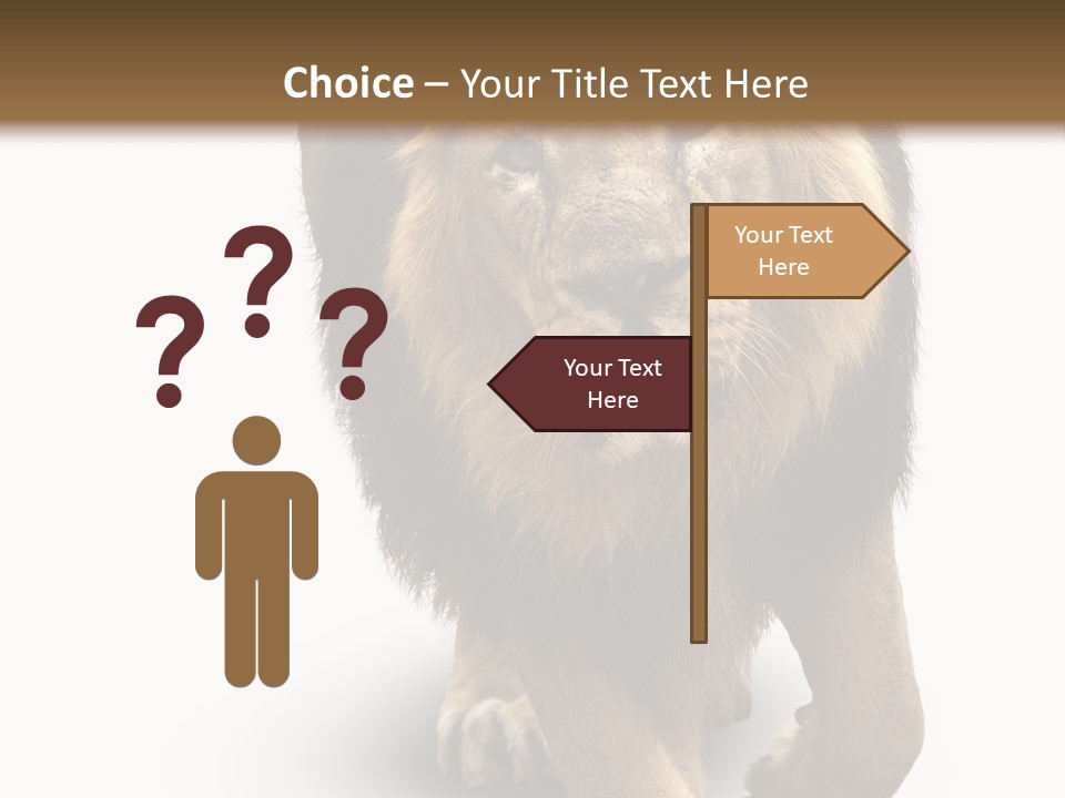 Lion White Background PowerPoint Template
