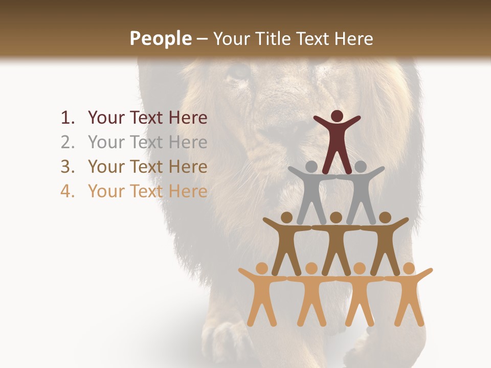 Lion White Background PowerPoint Template