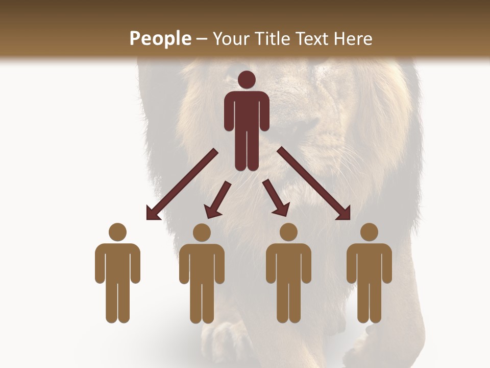 Lion White Background PowerPoint Template