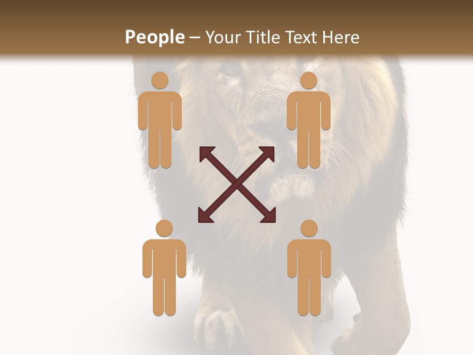 Lion White Background PowerPoint Template